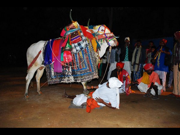 గంగిరెద్దుల సందడి