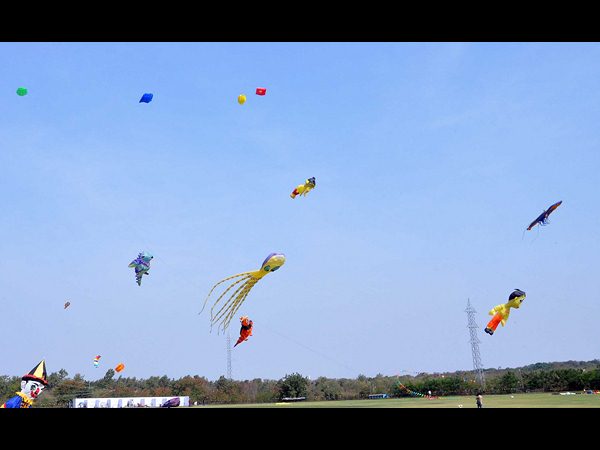 అగాఖాన్ అకాడమీలో పతంగుల పండుగ