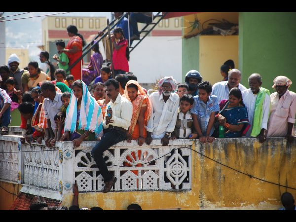 జల్లికట్టు జల్లికట్టు