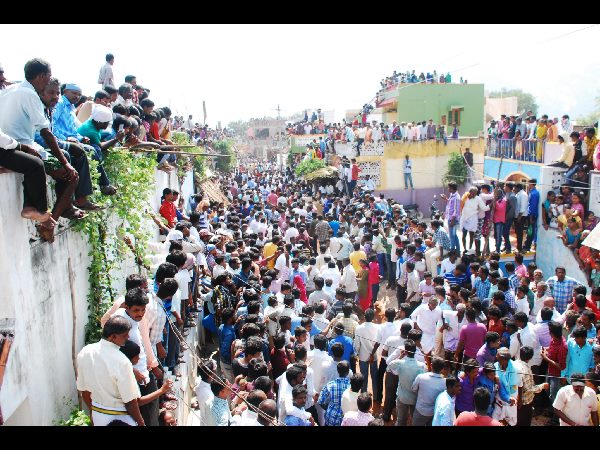 జల్లికట్టు జల్లికట్టు