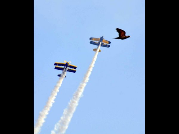 భారత నౌకాదళ చరిత్రలోనే ఇదొక అరుదైన ఘట్టం భారత నౌకాదళ చరిత్రలోనే ఇదొక అరుదైన ఘట్టం