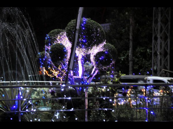 విశాఖ అందాలు రెట్టింపు-కళా ప్రదర్శనలు