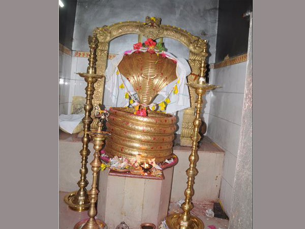  నాగోబా జాతరకు మెస్త్రం గిరిజనలు