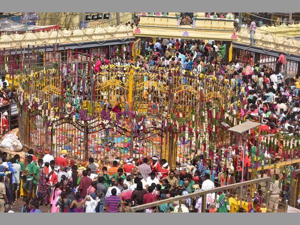 మేడారం మహాజాతర మేడారం మహాజాతర