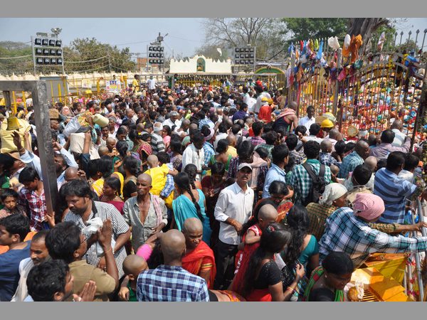 మేడారం జాతరలో సతీసమేతంగా బాలకృష్ణ, కేసీఆర్ పర్యటన రద్దు