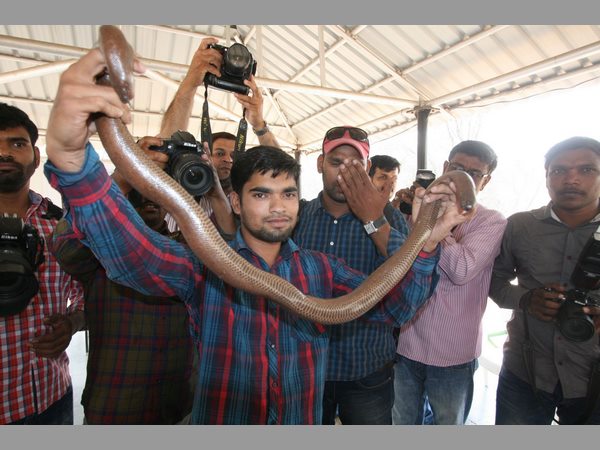 పాములపై అవగాహన