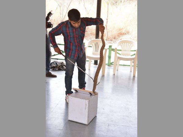 పాములపై అవగాహన