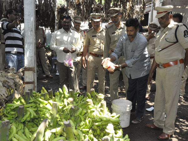 పోలీసులు దాడులు: అరటిపండు రంగు వెనుక అసలు నిజం ఇదే?