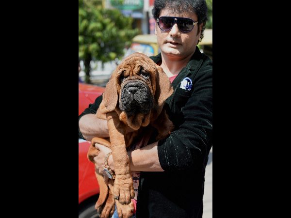 Bengaluru Man Becomes India's First Owner Of Rare Dog BreedThat Costs Rs. 1 Crore