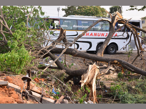 Medicos of Osmania die in road accident near Vijayawada