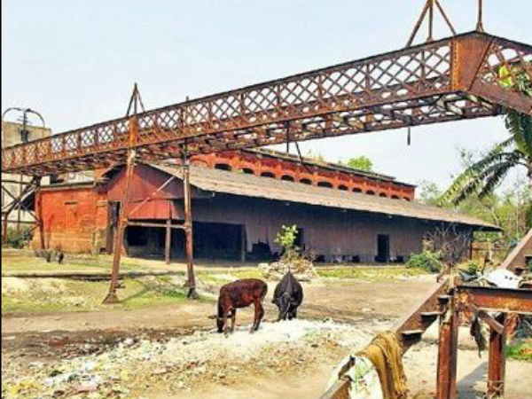 అవాక్కవ్వాల్సిందే!: చరిత్రలో నిలిచిపోయే చోరీ