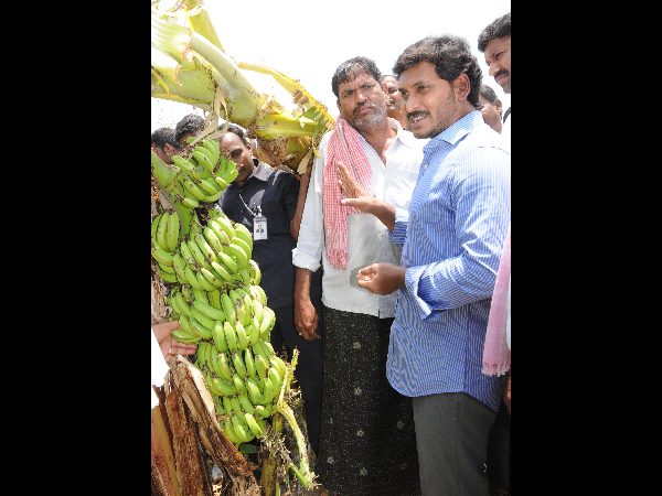 రైతులతో జగన్