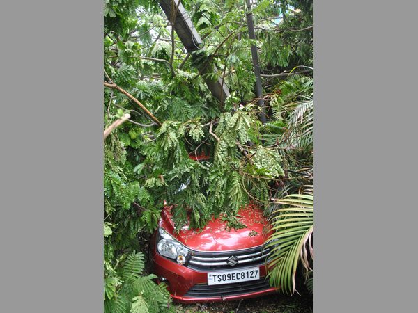 ఈదురు గాలులు