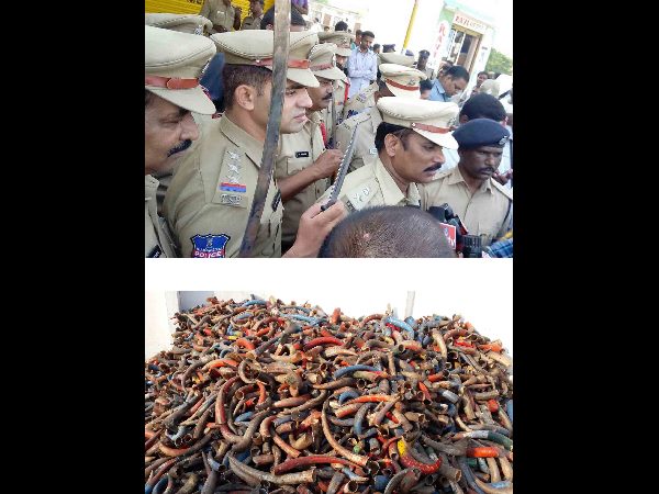 కార్డన్ సెర్చ్