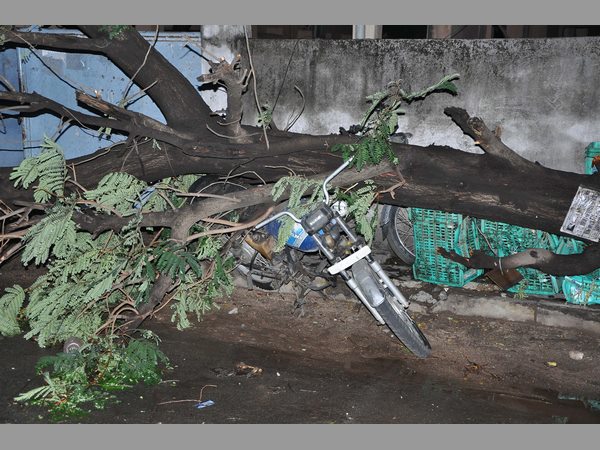 'రోను' ప్రభావం కాదు