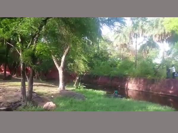 పూటుగా తాగి సింహాల బోనులోకి దూకాడు పూటుగా తాగి సింహాల బోనులోకి దూకాడు