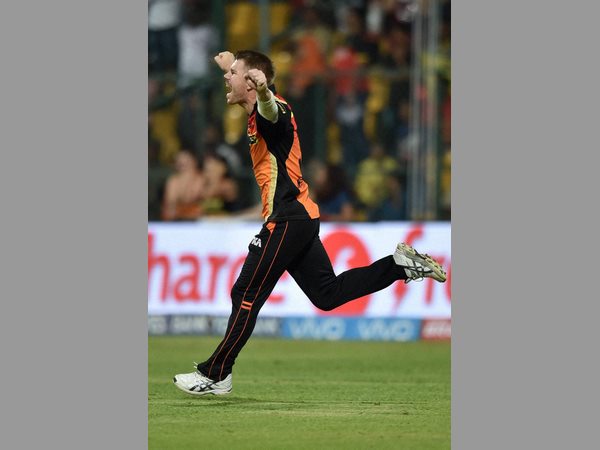 డేవిడ్ వార్నర్