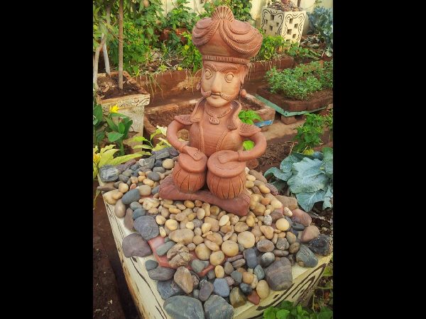 Thummeti Raghothama Reddy's Roof Garden