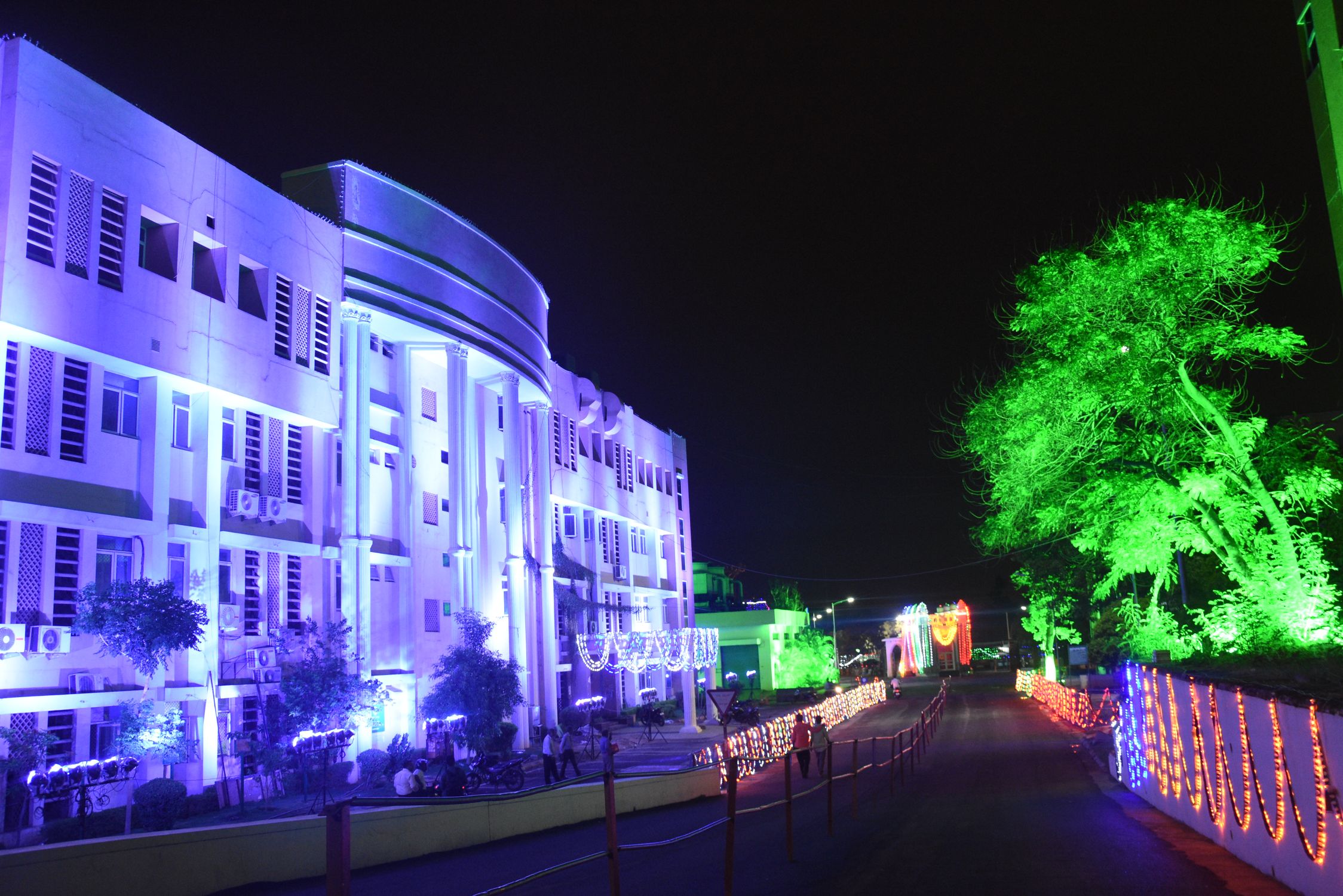 ఆవిర్భావ వేడుకలు