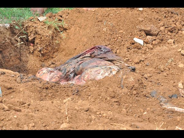  ఓ తండ్రి కన్నీటి గాథ: ఎట్టకేలకు మృతదేహాన్ని అప్పగించారు 