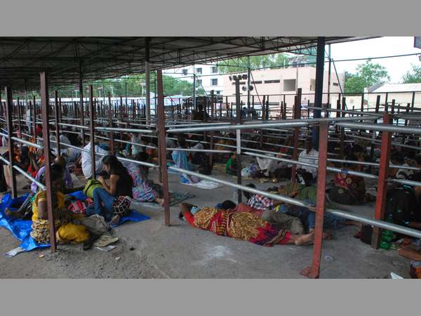 చేపమందు పంపిణీకి సర్వం సిద్ధం చేపమందు పంపిణీకి సర్వం సిద్ధం