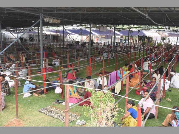 చేపమందు పంపిణీకి సర్వం సిద్ధం చేపమందు పంపిణీకి సర్వం సిద్ధం