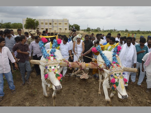 పొలంలో మంత్రి పల్లె