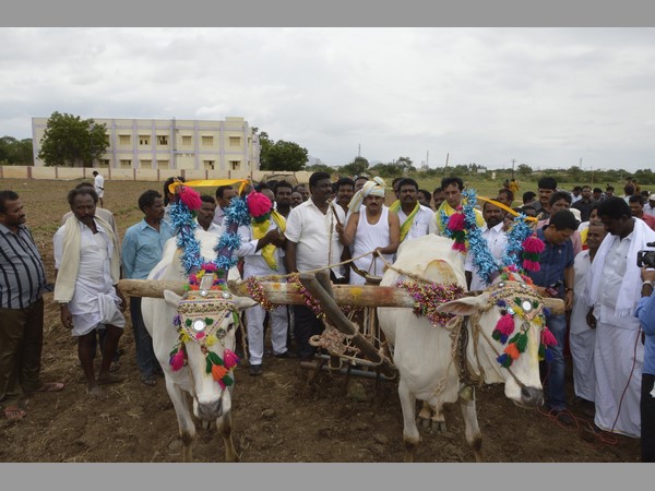 పొలంలో మంత్రి పల్లె