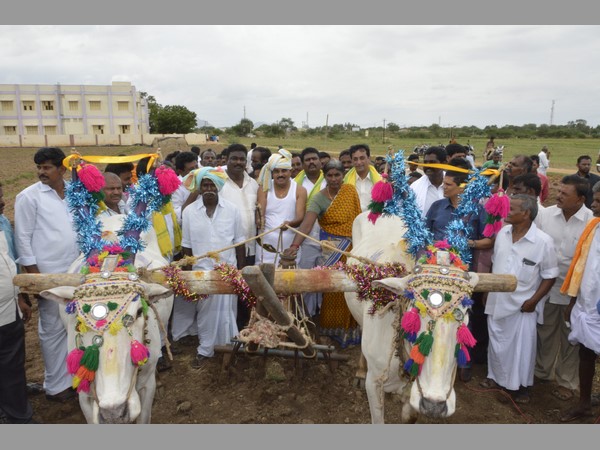 పొలంలో మంత్రి పల్లె