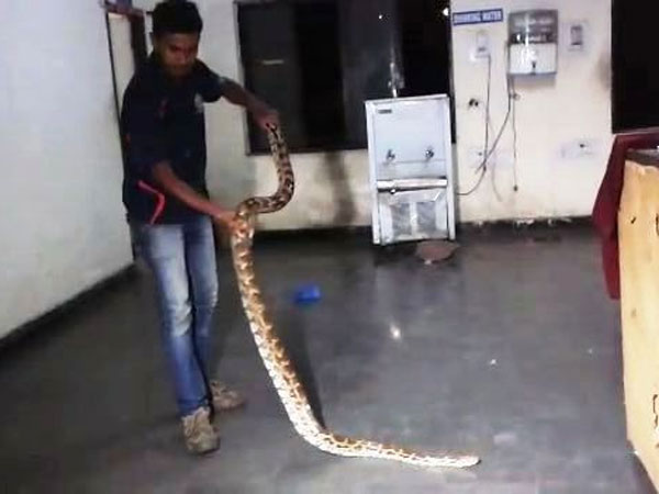 Python into Banjara Hills police station