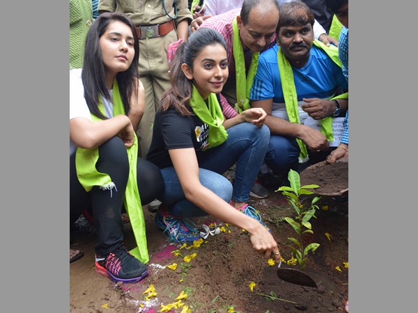 మొక్కల పంపిణీ మొక్కల పంపిణీ