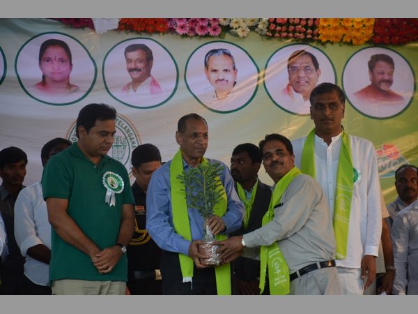  హరితహారం