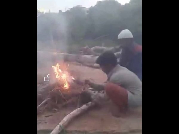 కుక్క పిల్లలు సజీవ దహనం కుక్క పిల్లలు సజీవ దహనం