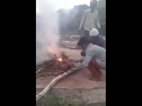 కుక్క పిల్లలు సజీవ దహనం కుక్క పిల్లలు సజీవ దహనం