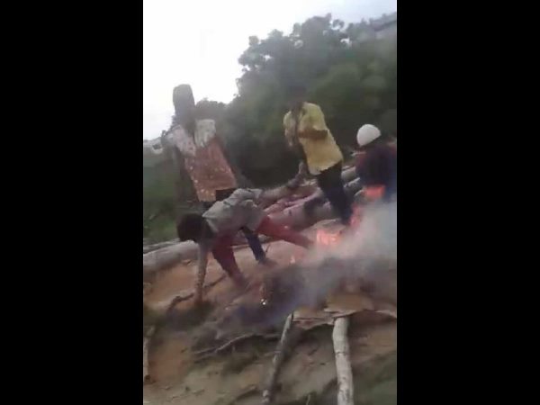 కుక్క పిల్లలు సజీవ దహనం కుక్క పిల్లలు సజీవ దహనం