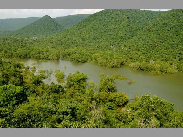 కంబాల కొండ