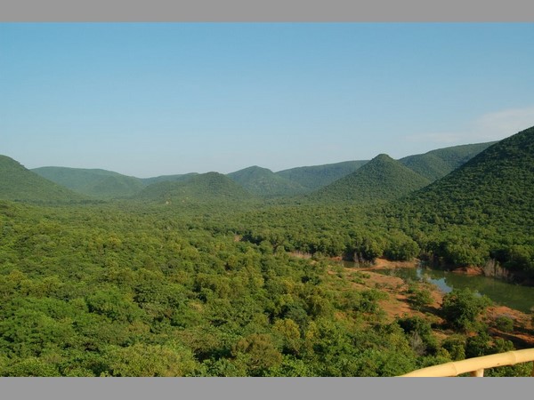 కంబాల కొండ