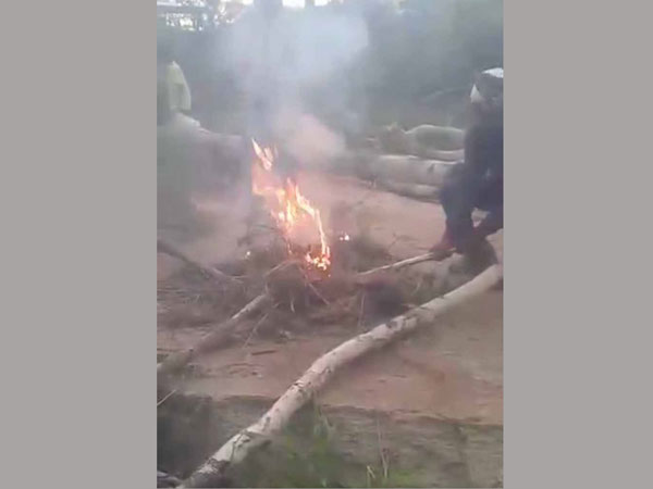 Horrifying moment dog is set on fire as sick yobs laugh