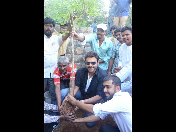 Hero Venkatesh Participates in Haritha Haram at Ramanaidu Studio
