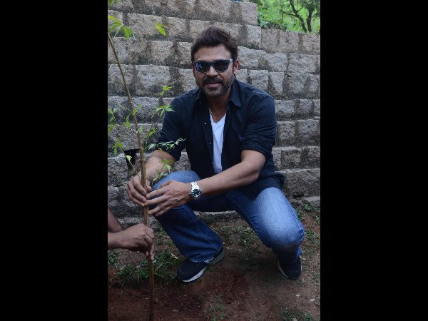 Hero Venkatesh Participates in Haritha Haram at Ramanaidu Studio