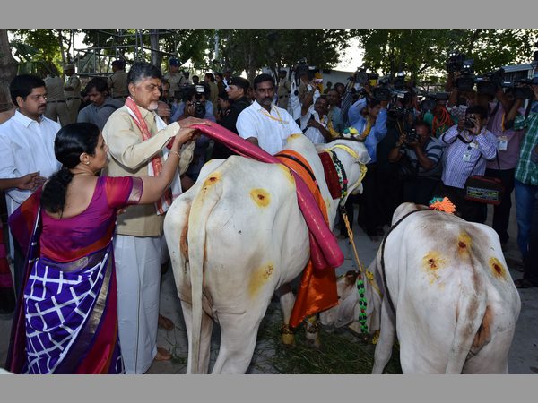 పవిత్ర హారతి