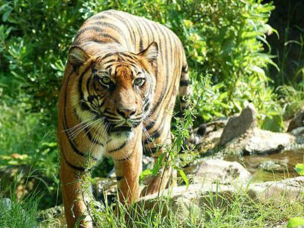 కారులోనే రాసలీలలు