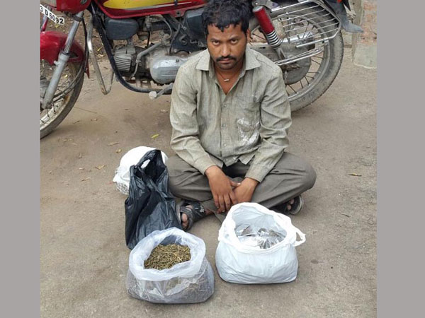 గంజాయితో పట్టుబడ్డారు గంజాయితో పట్టుబడ్డారు