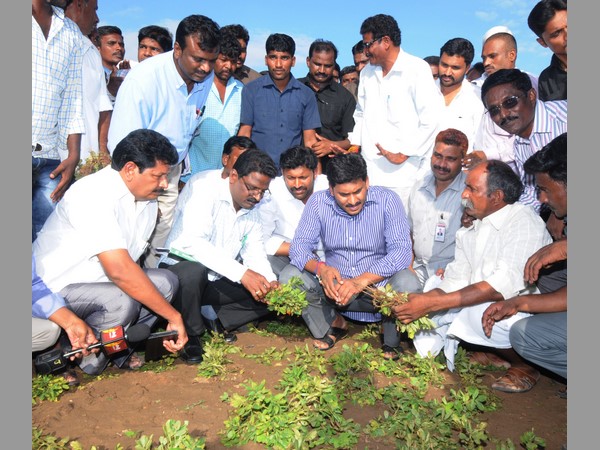 రెయిన్ గన్ల గురించి...