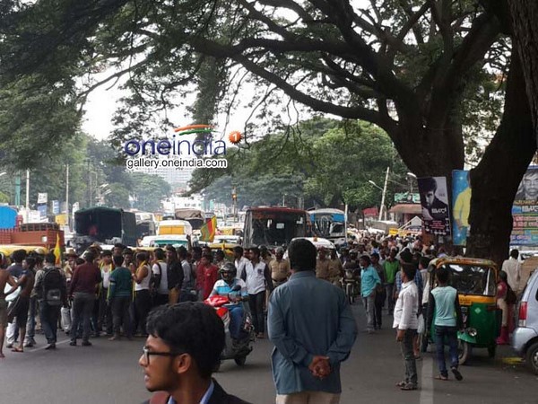 దుమ్ములేపేశారు