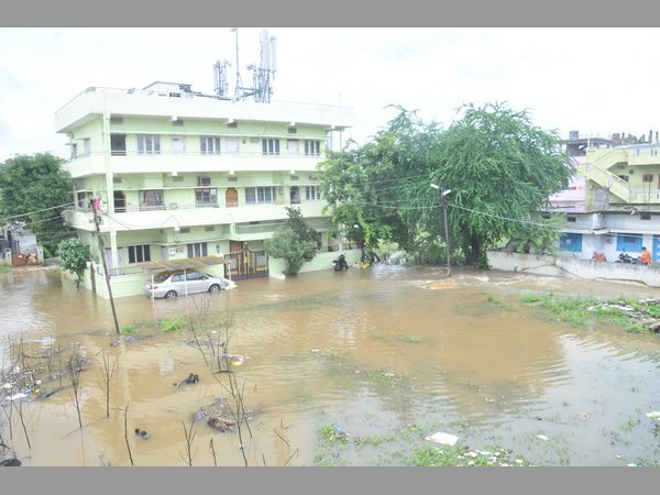 హరీష్ రావు సమీక్ష