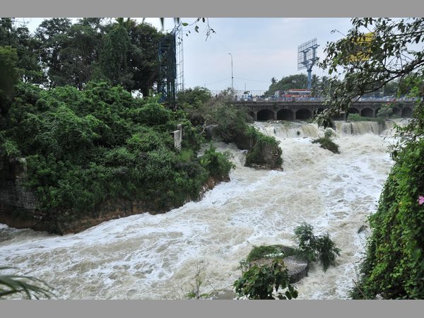 రంగంలోకి దిగిన సైన్యం