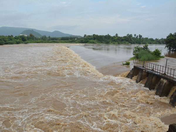 సత్తెనపల్లి సమీపంలో
