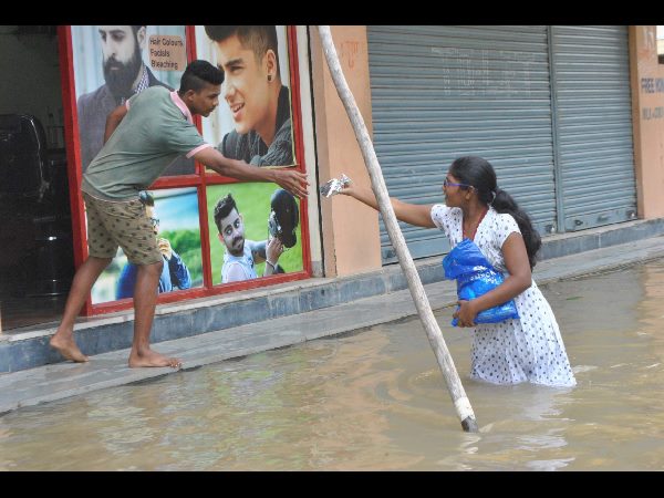 పాల ప్యాకెట్లు