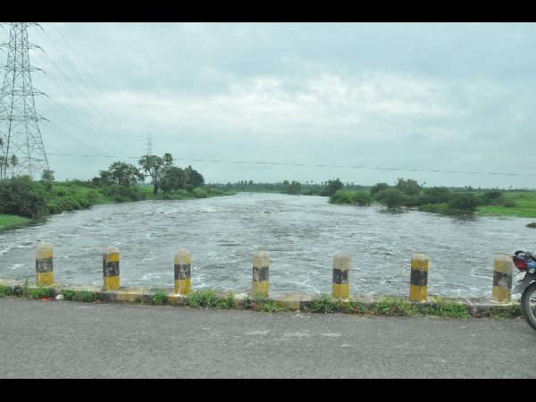 ఉధృతంగా మంజీరా 